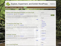 Explore WordPress website image